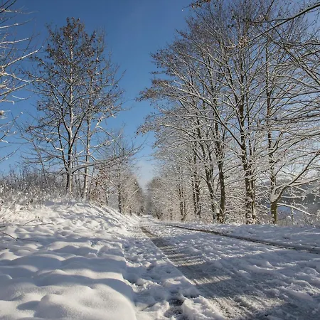 Welcome In - 13-k Direkt An Der Piste Mit Balkon Und Fahrrad- Und Skiraum