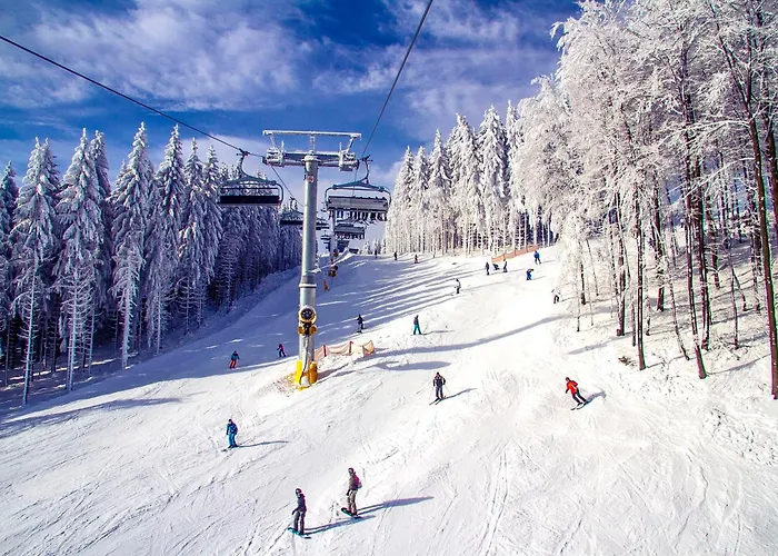 Welcome In - 13-k Aan De Piste Met Balkon En Fiets & Skiberging * Winterberg